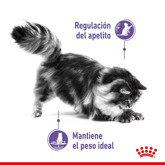 Alimento para gato Royal Canin Appetite Control 2 kg