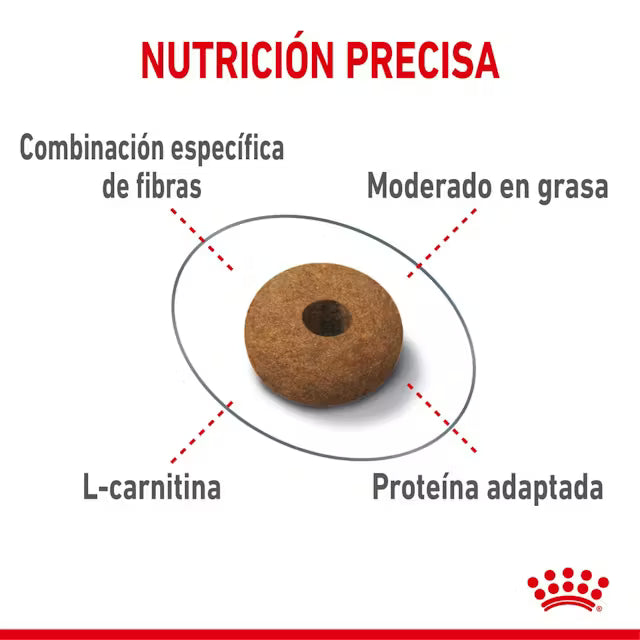 Alimento para gato Royal Canin Appetite Control 2 kg