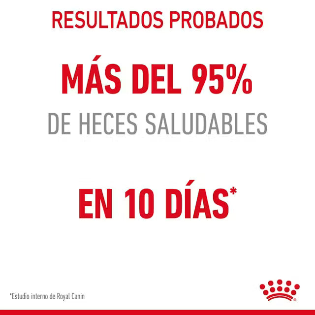 Alimento para gato Royal Canin Digestive Care 1.38 kg