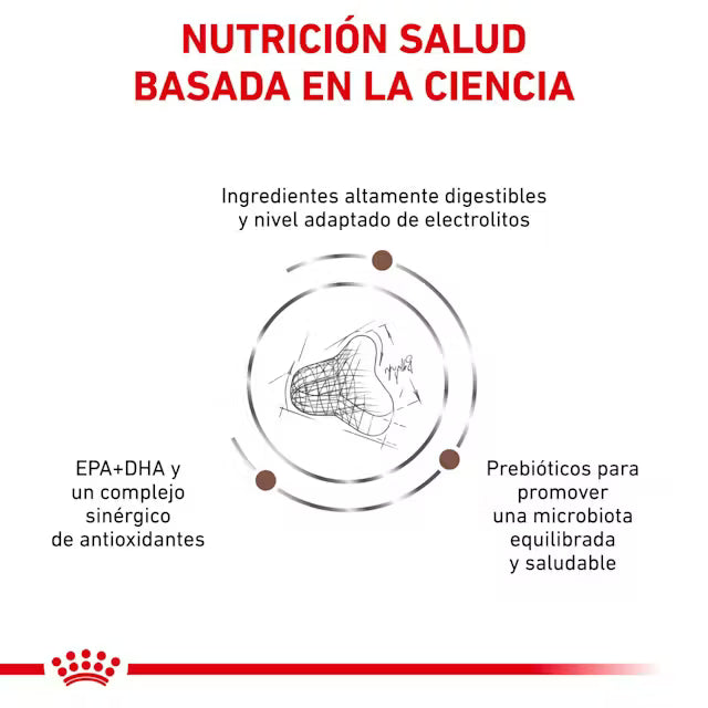 Alimento para gato Royal Canin Veterinary Gastrointestinal Fibre Response 2kg