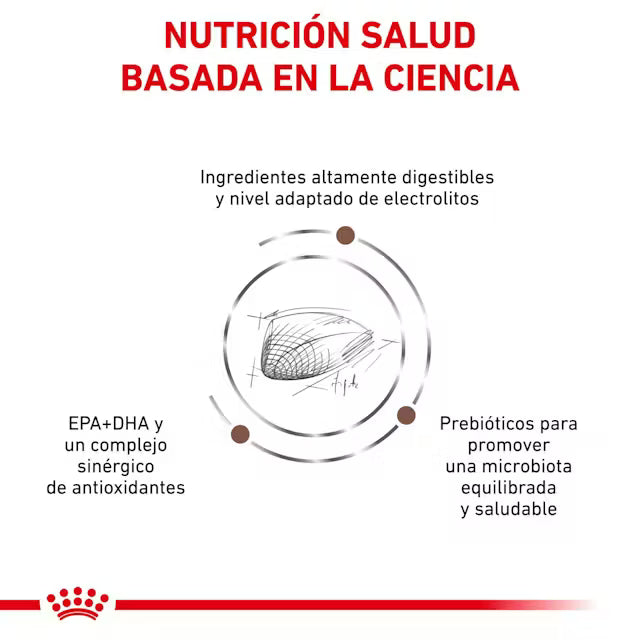 Alimento para gato Royal Canin Veterinary Gastrointestinal 2kg