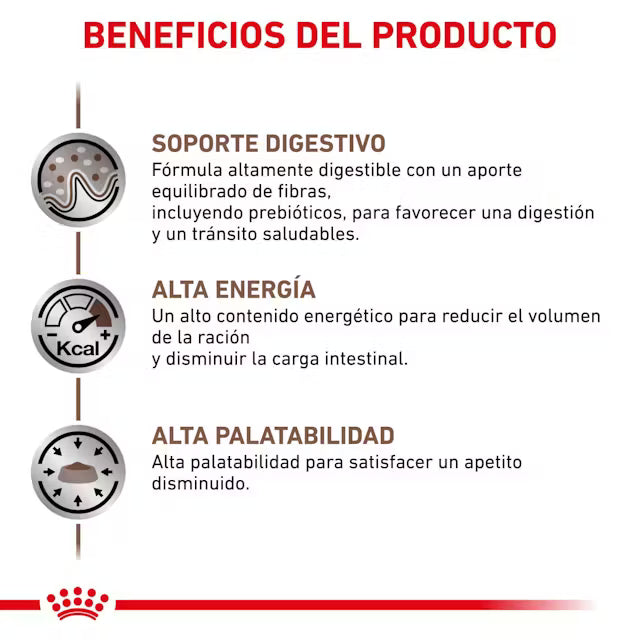 Alimento para gato Royal Canin Veterinary Gastrointestinal 2kg