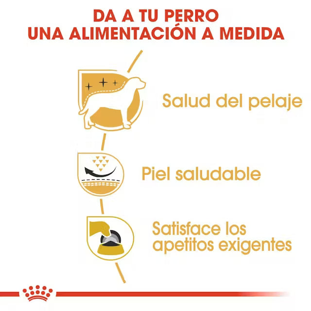 Alimento para perro Royal Canin West Highland White Terrier Adult 3kg
