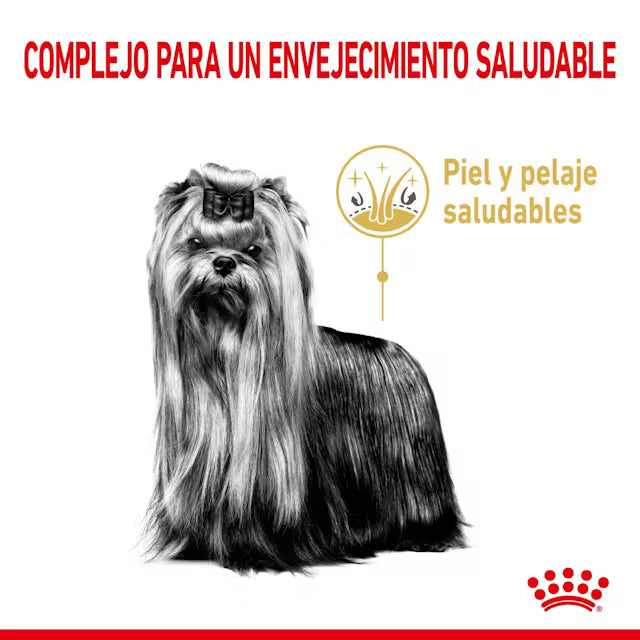 Alimento para perro Royal Canin Yorkshire 8+ 1.5kg