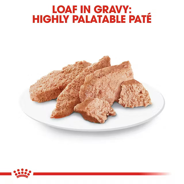 Alimento humedo para perro Royal Canin Dachshund Lata 0.085kg