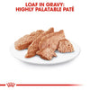 Alimento humedo para perro Royal Canin Dachshund Lata 0.085kg