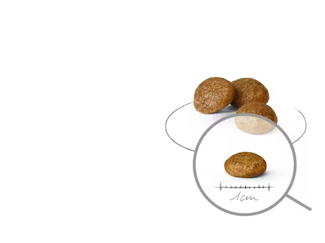 Alimento para perro Royal Canin XSmall Adult 1.5kg