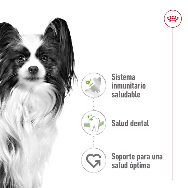 Alimento para perro Royal Canin XSmall Adult 1.5kg