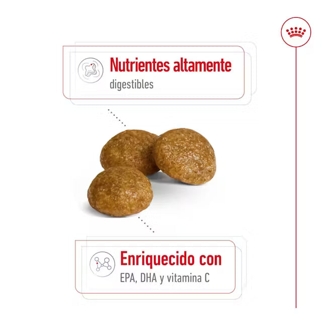 Alimento para perro Royal Canin XSmall Adult 1.5kg