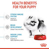 Alimento para perro Royal Canin Mini Indoor Puppy 2kg