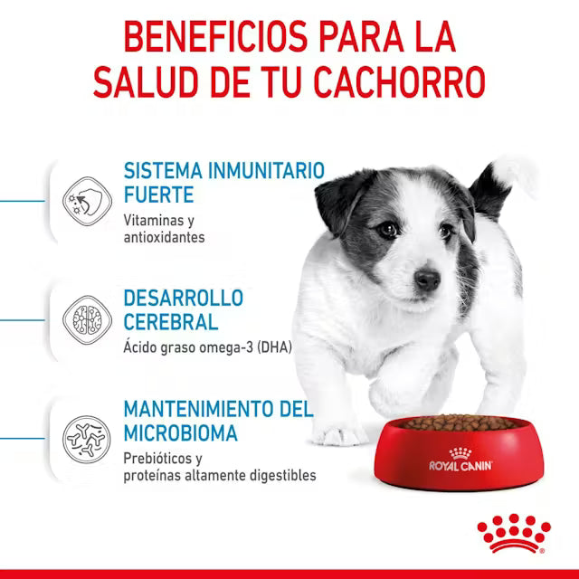 Alimento para perro Royal Canin Mini Puppy 2kg
