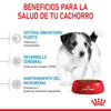 Alimento para perro Royal Canin Mini Puppy 2kg