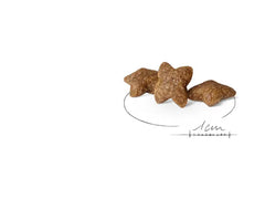 Alimento para perro Royal Canin Mini Adult 2kg