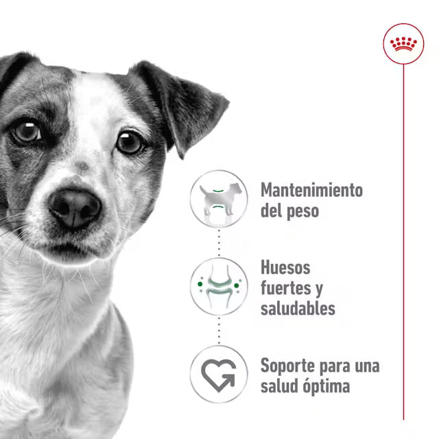 Alimento para perro Royal Canin Mini Adult 2kg