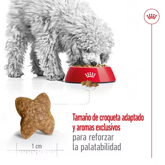 Alimento para perro Royal Canin Mini Adult 2kg