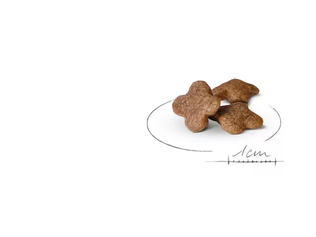 Alimento para perro Royal Canin Mini Mature+8 2kg