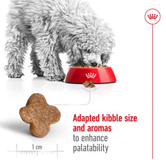 Alimento para perro Royal Canin Mini Mature+8 2kg