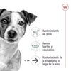 Alimento para perro Royal Canin Mini Ageing +12 1.5kg
