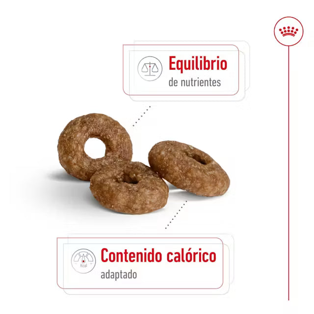 Alimento para perro Royal Canin Mini Ageing +12 1.5kg
