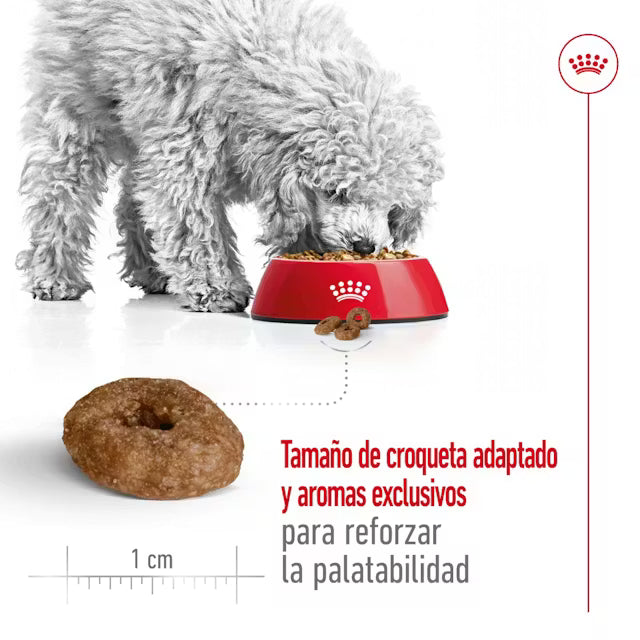 Alimento para perro Royal Canin Mini Ageing +12 1.5kg