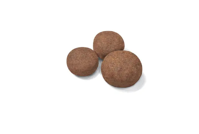 Alimento para perro Royal Canin Medium Puppy 10kg