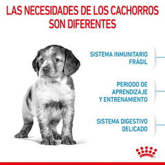 Alimento para perro Royal Canin Medium Puppy 10kg