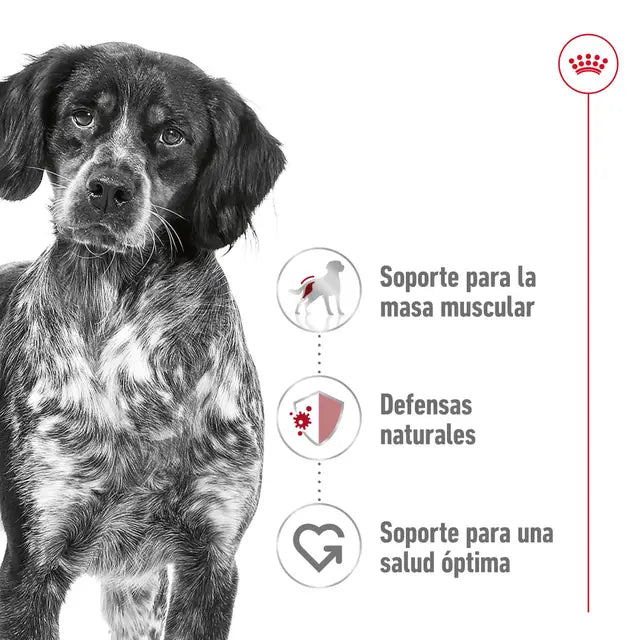 Alimento para perro Royal Canin Medium Adult 15kg