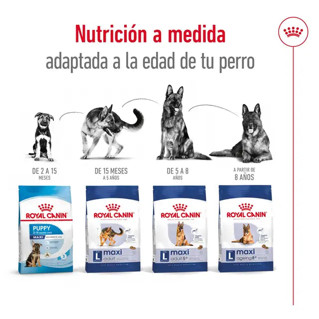 Alimento para perro Royal Canin Maxi Adult 15kg