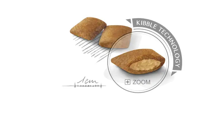 Alimento para perro Royal Canin Mini Exigent 3kg