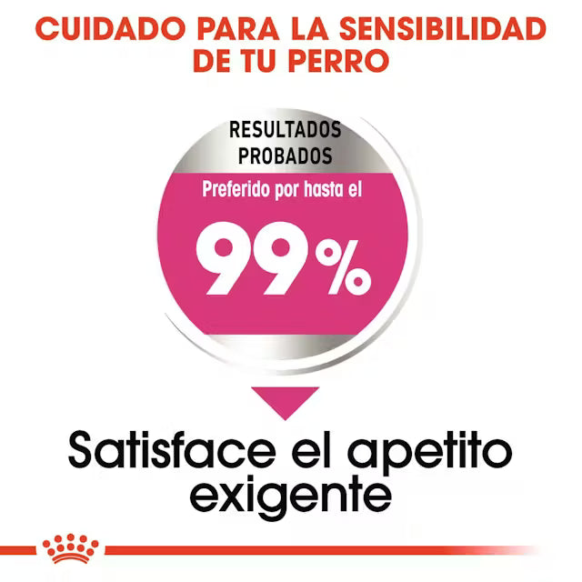 Alimento para perro Royal Canin Mini Exigent 3kg