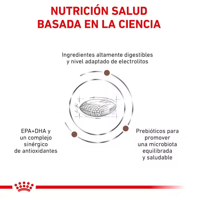 Alimento para perro Royal Canin Gastro Low Fat Dog 3kg