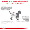 Alimento para perro Royal Canin Gastrointestinal Low Fat Small Dog. 1.5kg