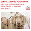 Alimento para perro Royal Canin Urinary Small Dog 4kg