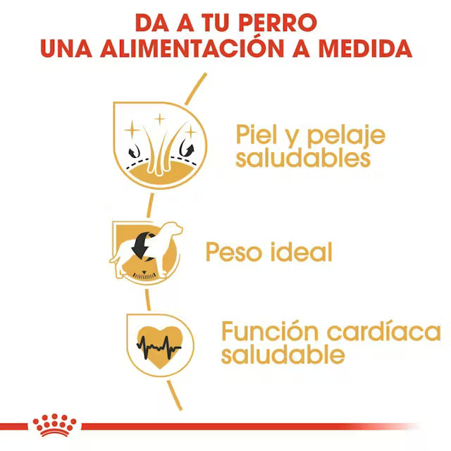Alimento para perro Royal Canin Cocker Adult 3kg