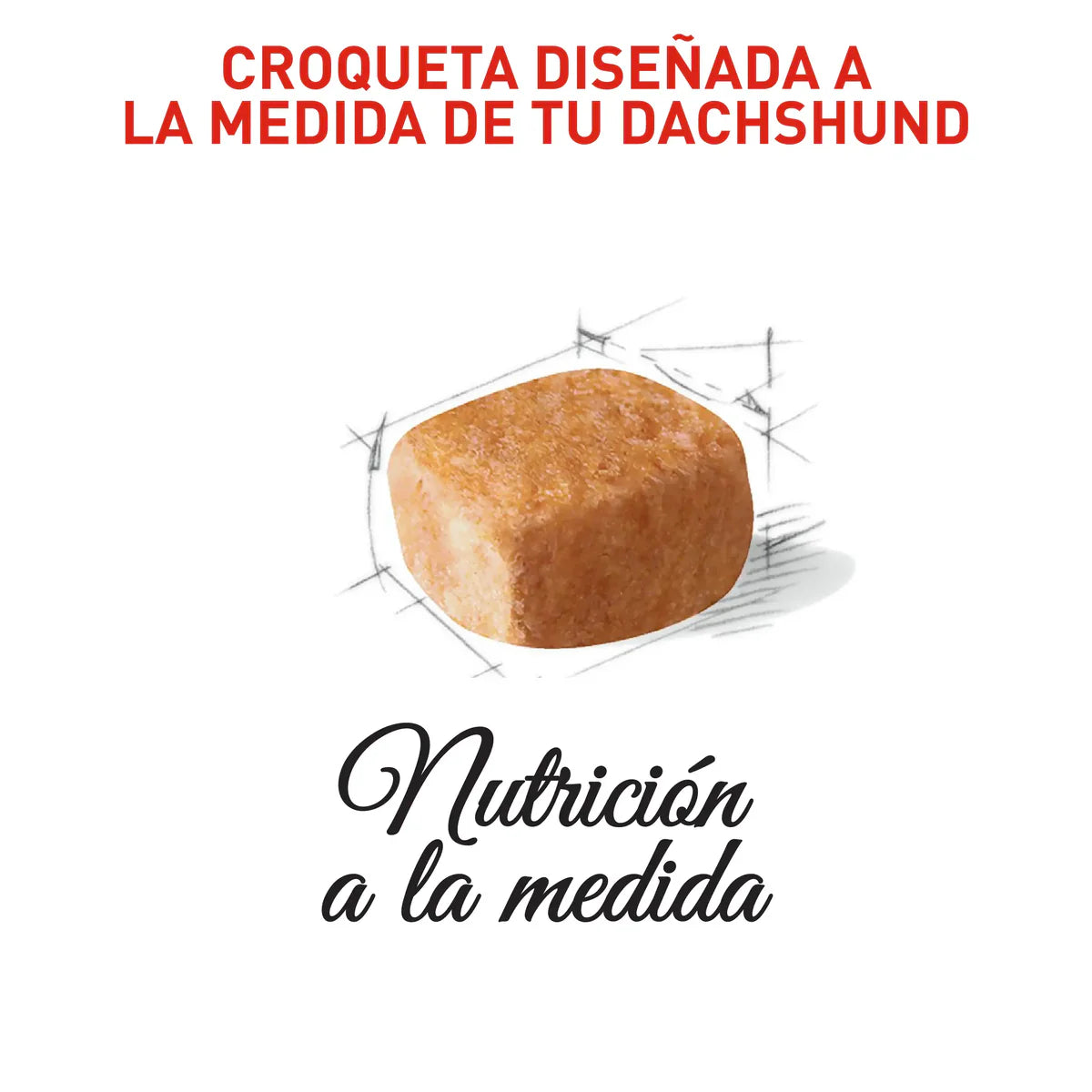 Alimento para perro Royal Canin Dachshund Puppy 1.13kg