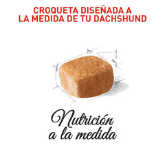 Alimento para perro Royal Canin Dachshund Puppy 1.13kg