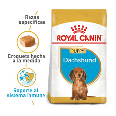 Alimento para perro Royal Canin Dachshund Puppy 1.13kg