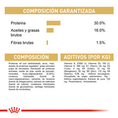 Alimento para perro Royal Canin Dachshund Puppy 1.13kg