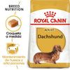 Alimento para perro Royal Canin Dachshund Adult 1.5kg