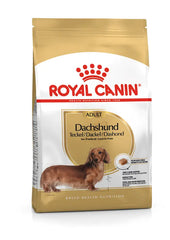 Alimento para perro Royal Canin Dachshund Adult 1.5kg