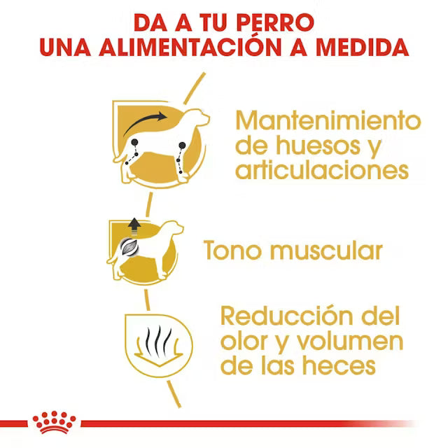 Alimento para perro Royal Canin Dachshund Adult 1.5kg