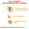 Alimento para perro Royal Canin Bulldog Francés Adult 3kg