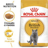 Alimento para gato Royal Canin British Shorthair 2kg