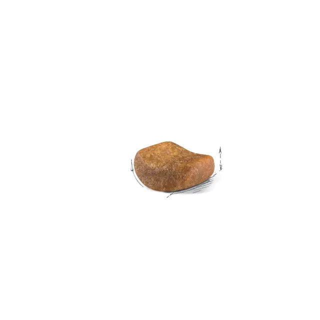 Alimento para gato Royal Canin British Shorthair 2kg