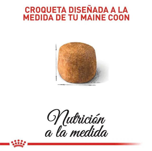 Alimento para gato Royal Canin Maine Coon Adult 2kg