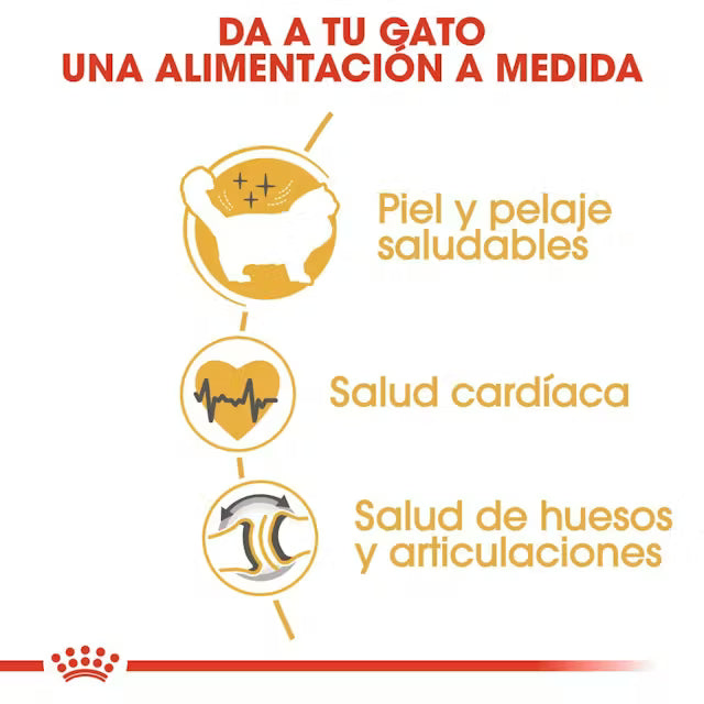 Alimento para gato Royal Canin Ragdoll Adult 2kg