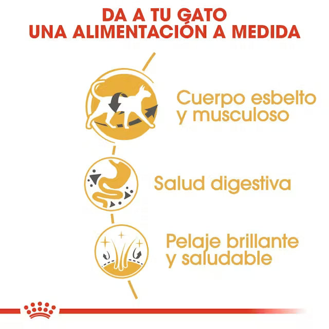 Alimento para gato Royal Canin Siamese Adult 2kg