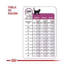 Alimento Húmedo para Gato Royal Canin Renal Support E 0.14kg