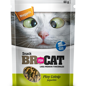 Snack para gato BR Play Catnip 60 g