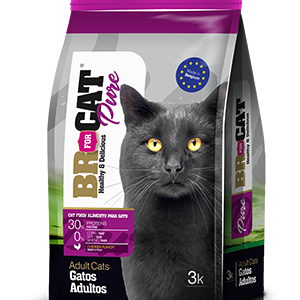 Alimento para gato adulto BR Pure sabor pollo